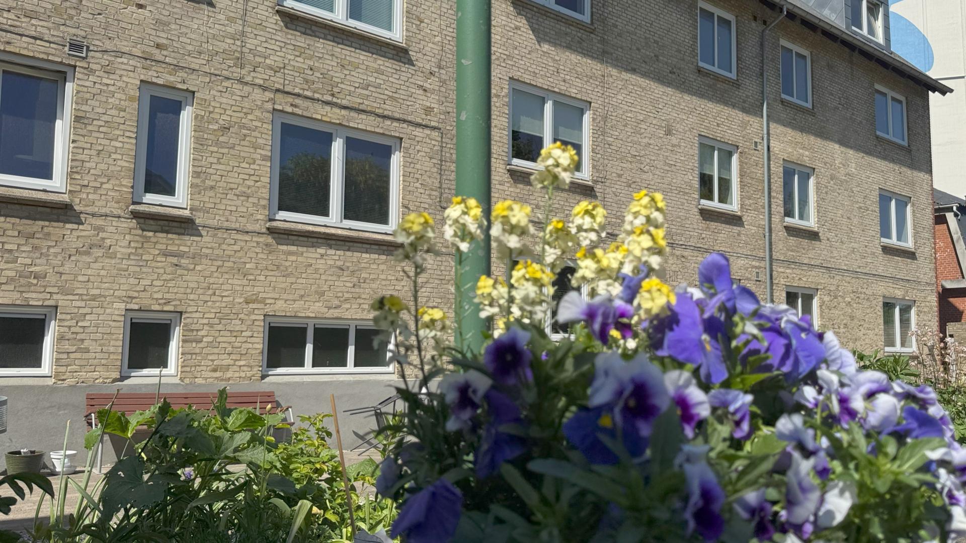 apartment-type-image-7