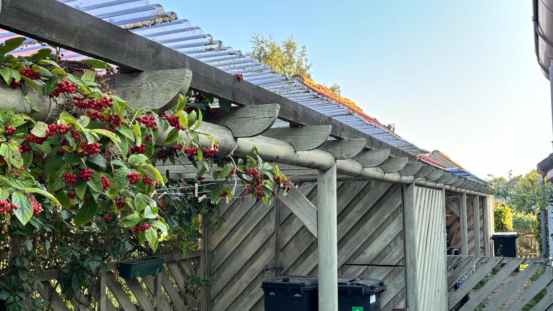 apartment-type-image-5