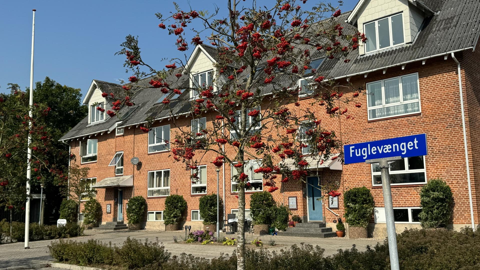 apartment-type-image-2