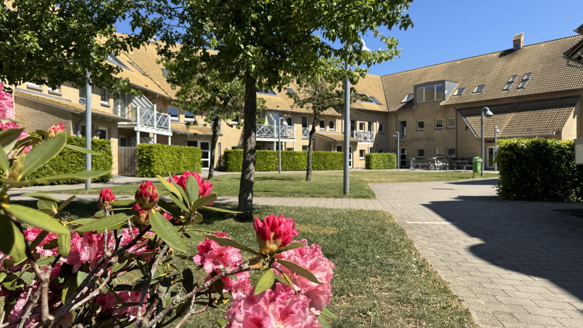 department-image-24