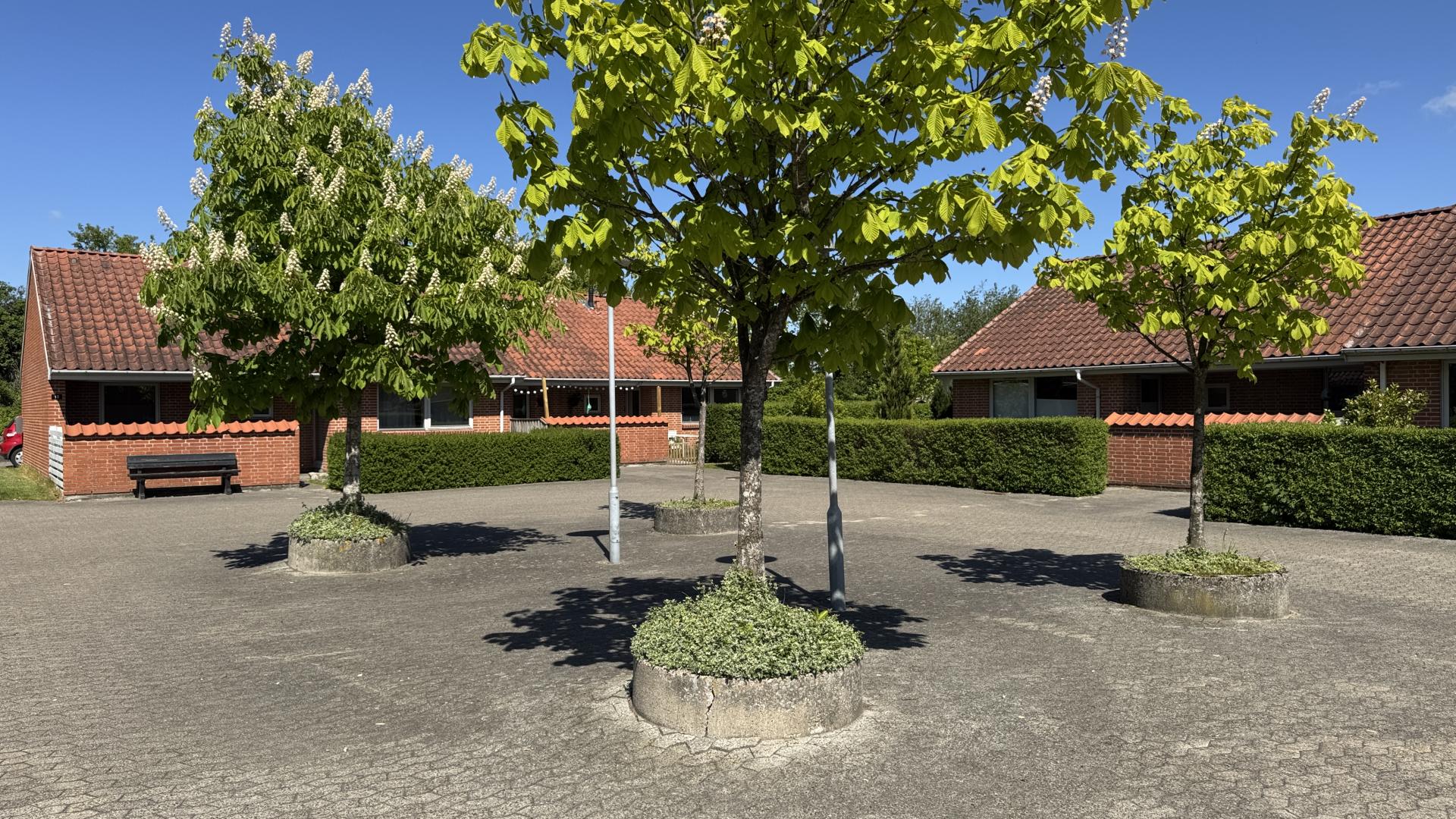 department-image-1