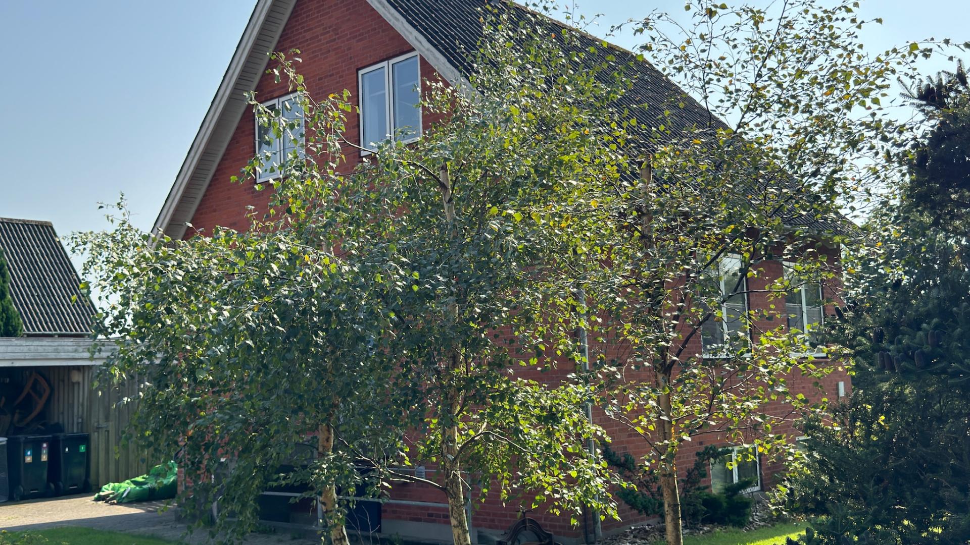 department-image-5