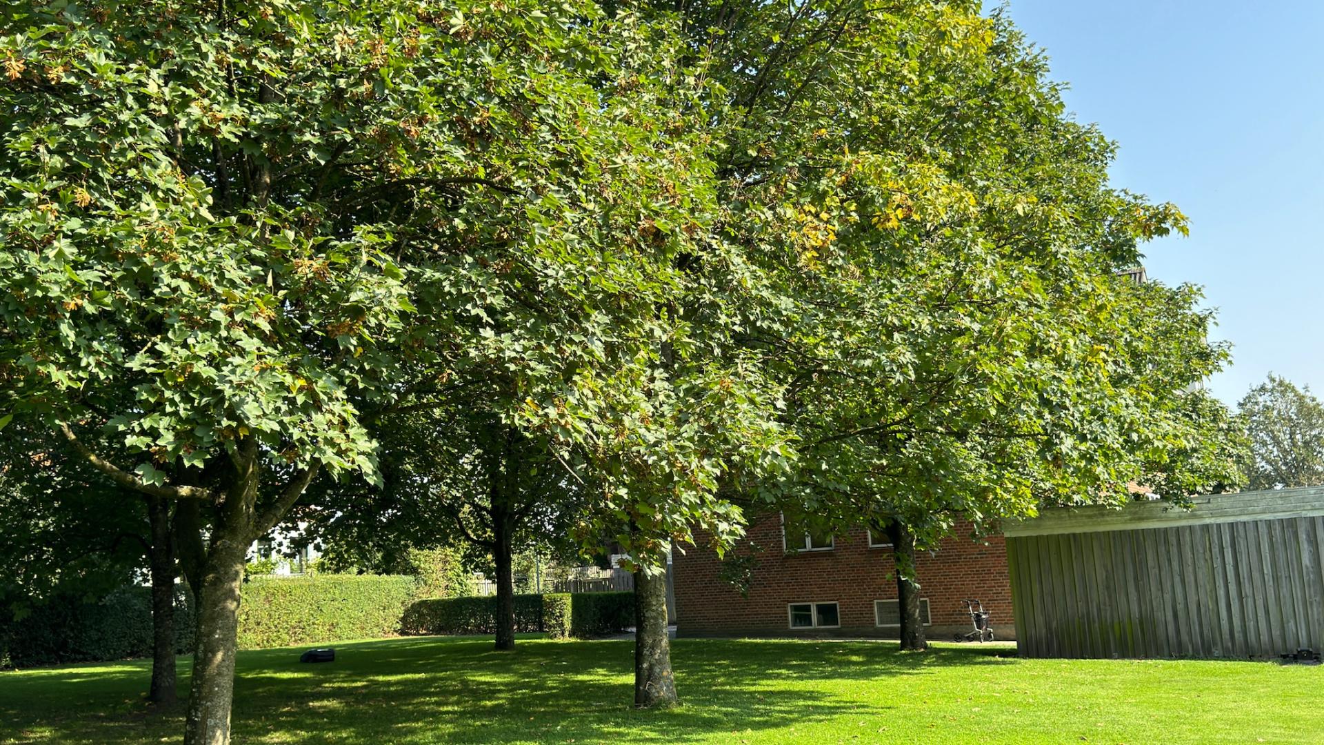 department-image-7